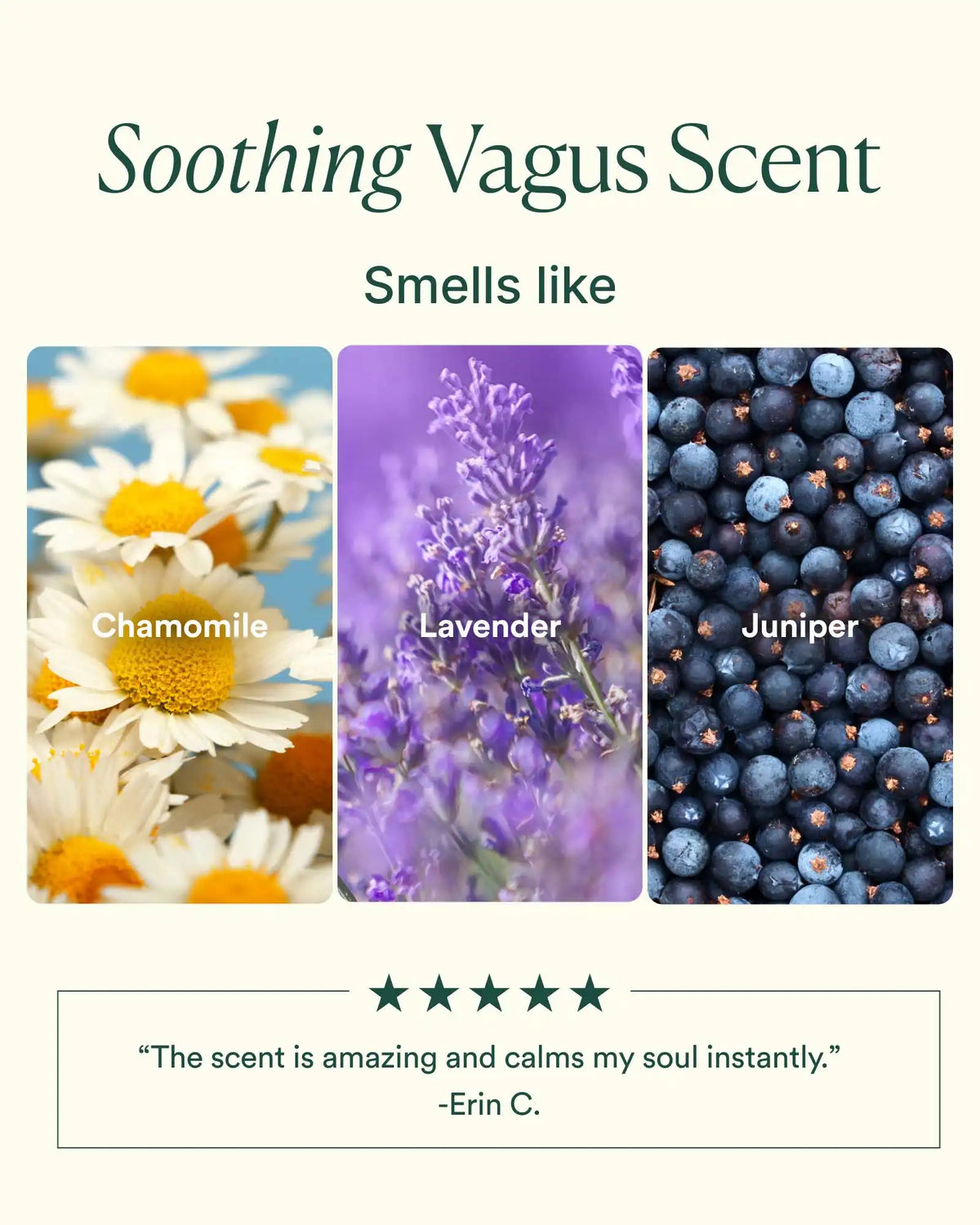 Vagus Nerve Pillow Mist