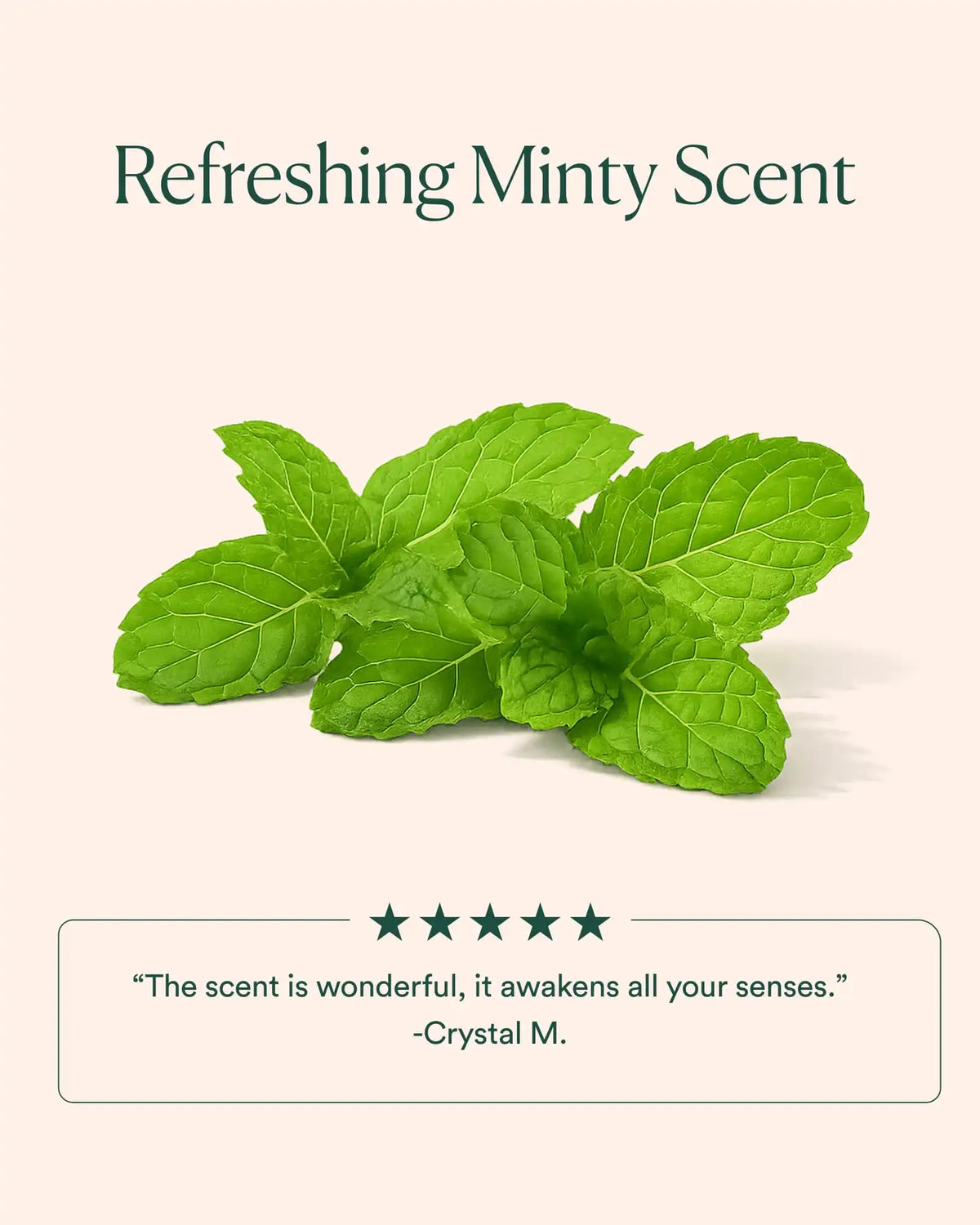 Ocean Cleansing Mudd
