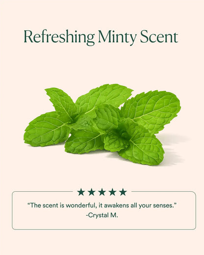 Ocean Cleansing Mudd