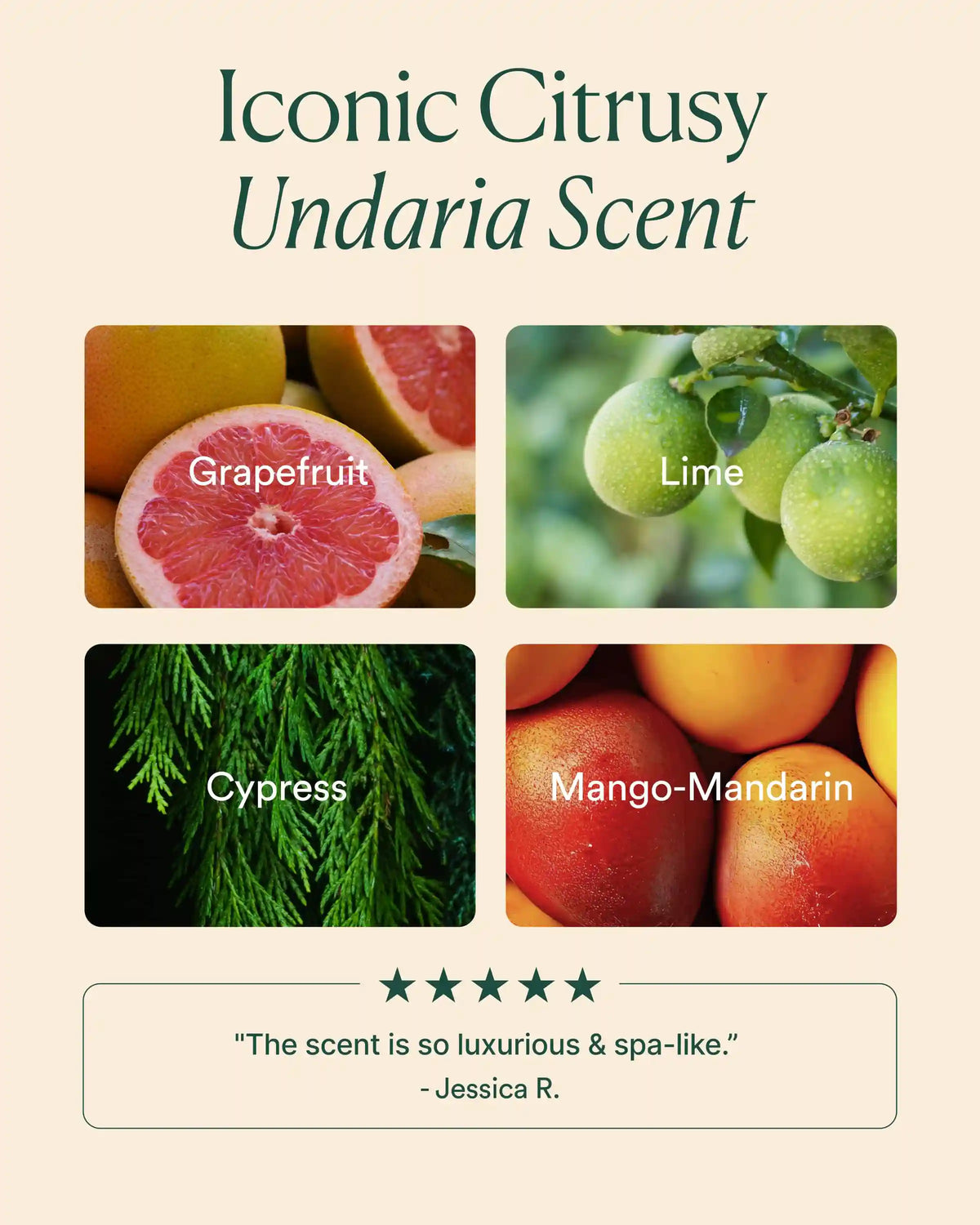 Undaria Body Collection