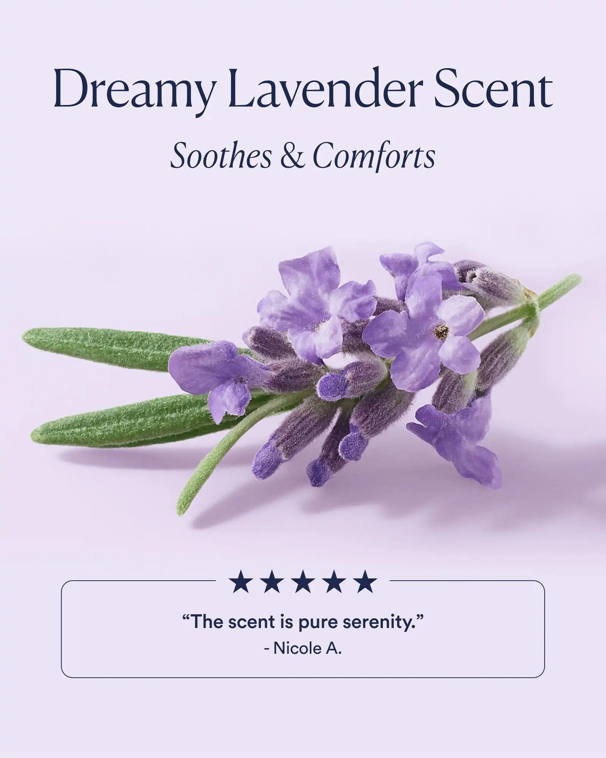 Dream Night Cream with Bio-Retinol