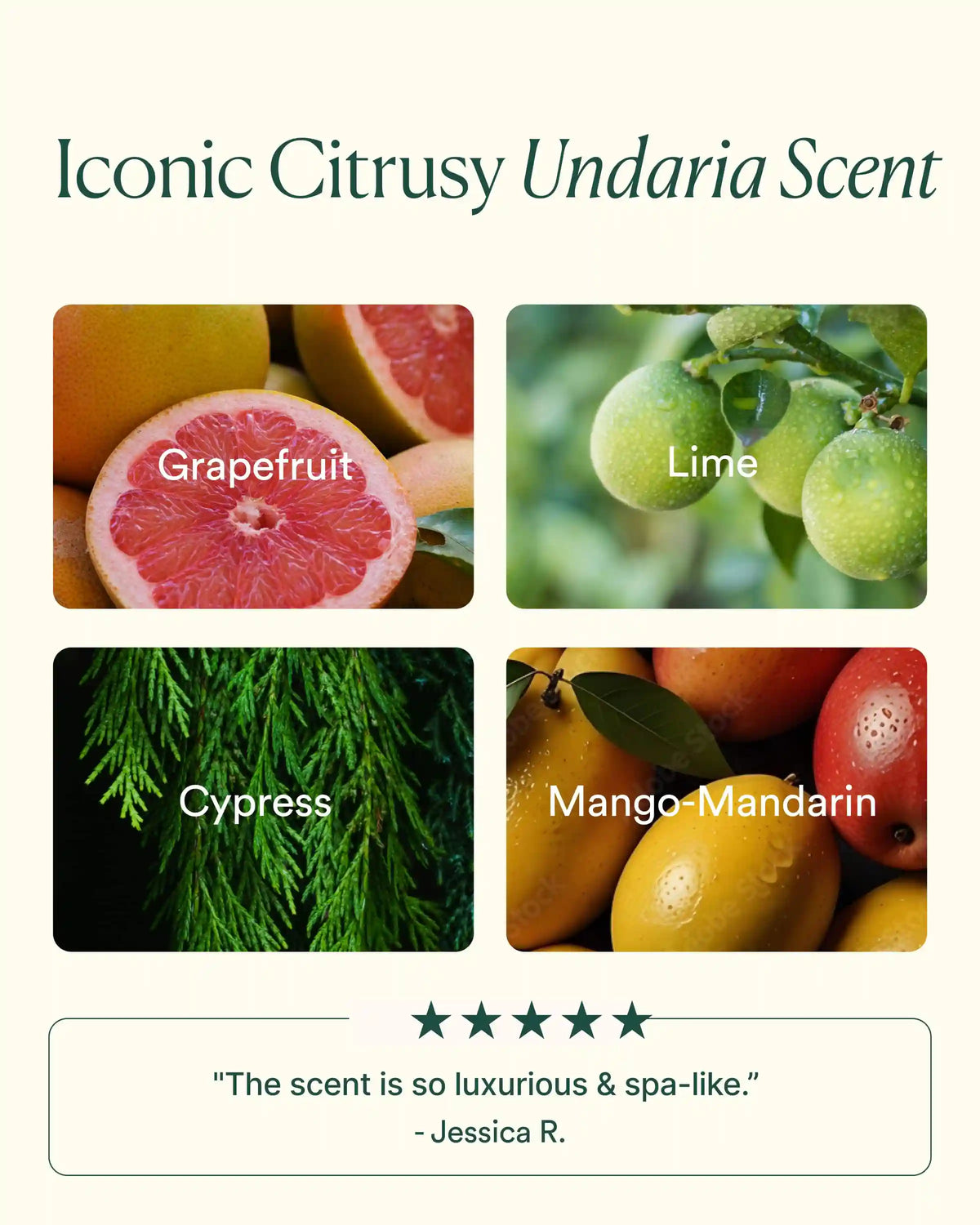 Undaria Hydrate & Glow Duo