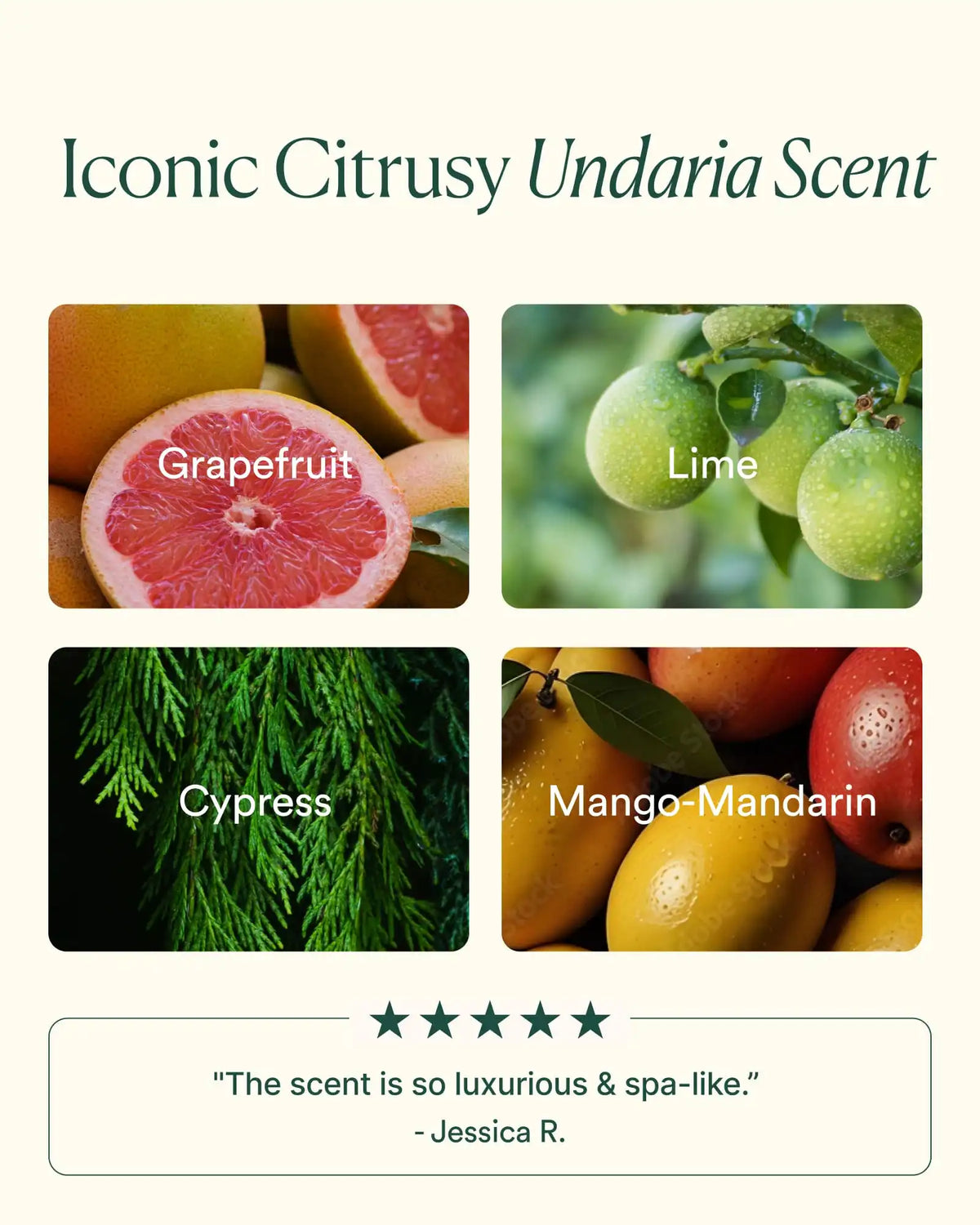 Undaria Cleansing Body Polish