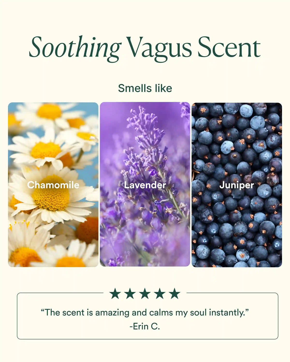 Vagus Nerve Trio