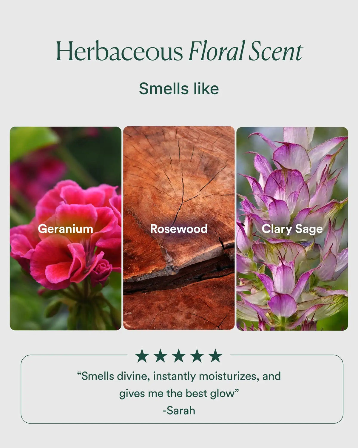 Essential Hydrating Oil