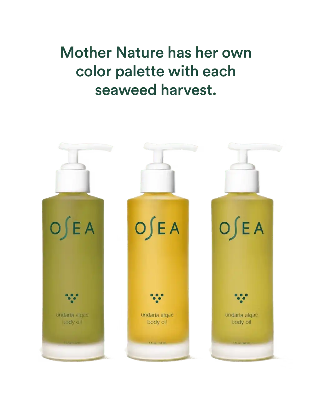 Undaria Algae™ Body Oil Fragrance Free