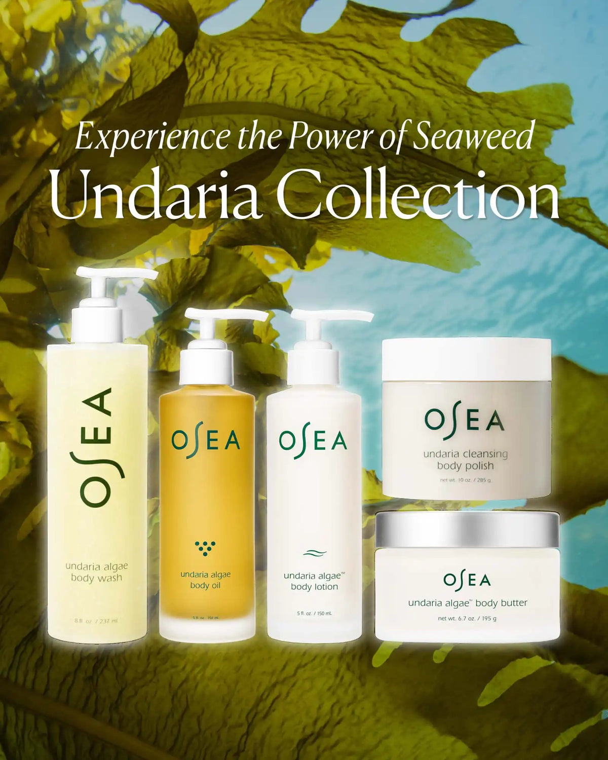 Undaria Algae™ Body Lotion